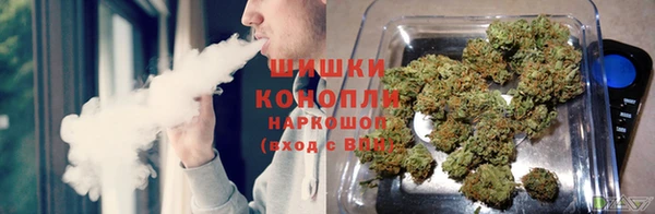 дмт Осташков