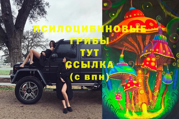 дмт Осташков