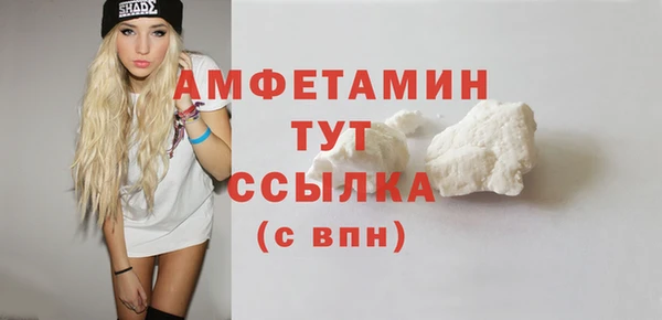 дмт Осташков