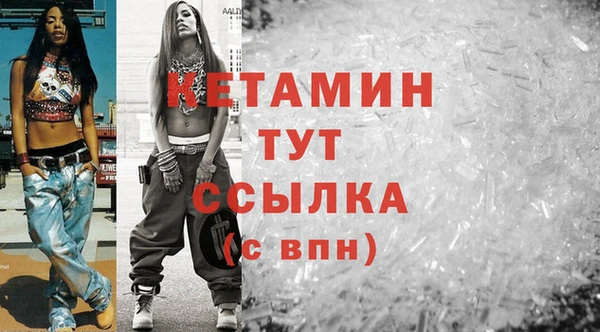 индика Няндома