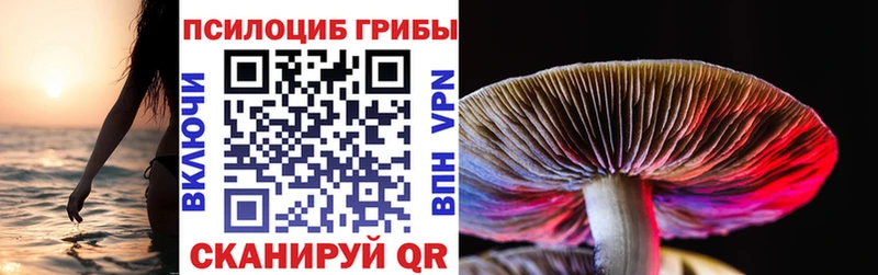купить   Биробиджан  Галлюциногенные грибы Psilocybe 