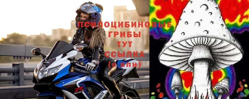 Псилоцибиновые грибы Psilocybe  ОМГ ОМГ ссылка  Биробиджан 