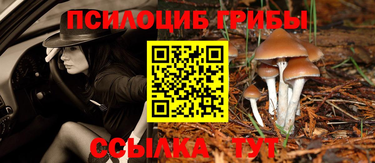 Биробиджан  Галлюциногенные грибы мухоморы  Вход с VPN 